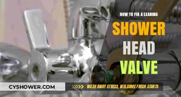 Quick Guide to Repairing a Leaking Shower Head Valve