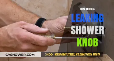 Quick DIY Guide to Repairing a Leaky Shower Knob Easily