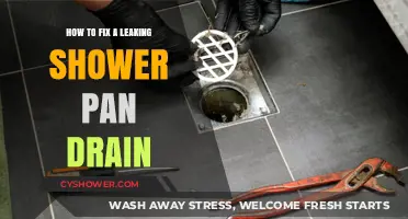 Quick DIY Guide to Repairing a Leaking Shower Pan Drain