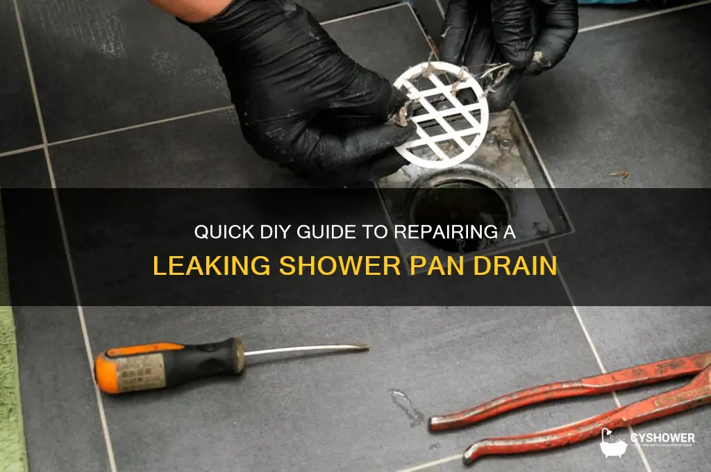 how to fix a leaking shower pan drain