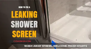 Quick DIY Guide to Repairing a Leaking Shower Screen Easily
