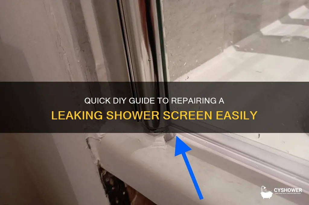 how to fix a leaking shower screen