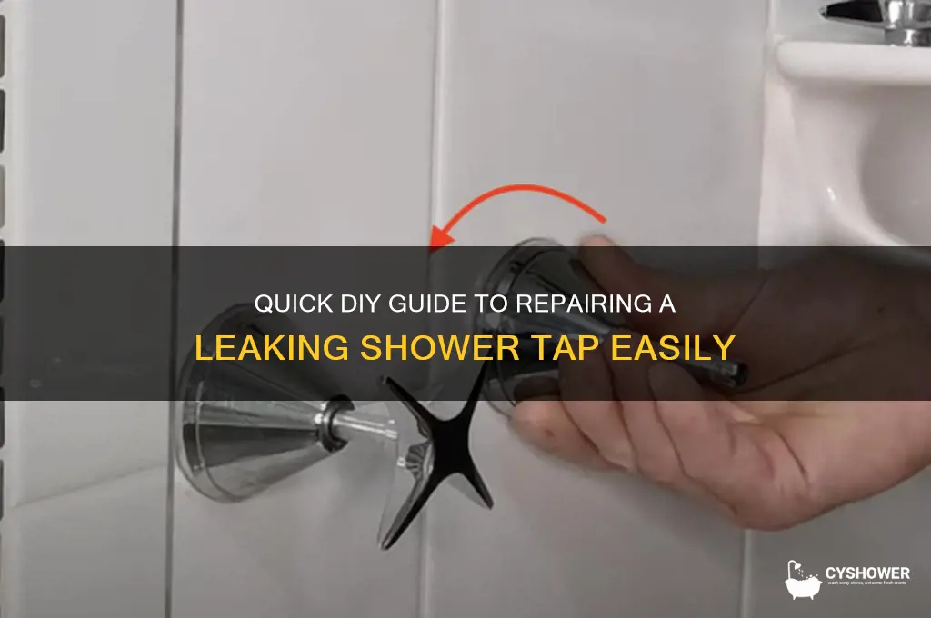 how to fix a leaking shower tap