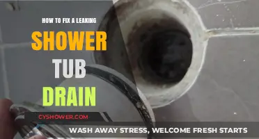 Quick DIY Guide to Repairing a Leaking Shower Tub Drain