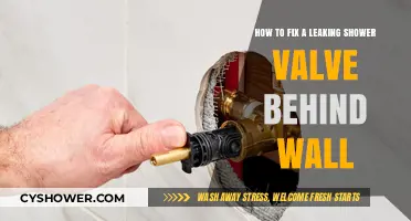 Fixing a Hidden Leaking Shower Valve: Step-by-Step Wall Repair Guide