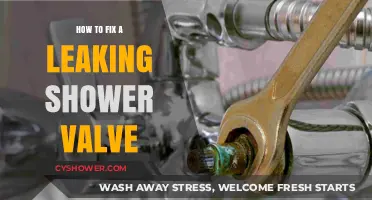 Quick Guide to Repairing a Leaking Shower Valve Easily