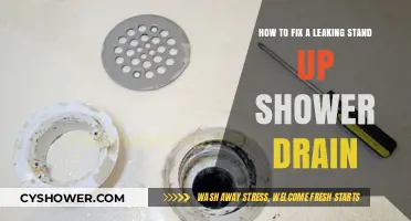 Quick Fixes for a Leaking Stand-Up Shower Drain: DIY Guide