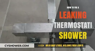 Quick Fixes for a Leaking Thermostatic Shower: DIY Repair Guide