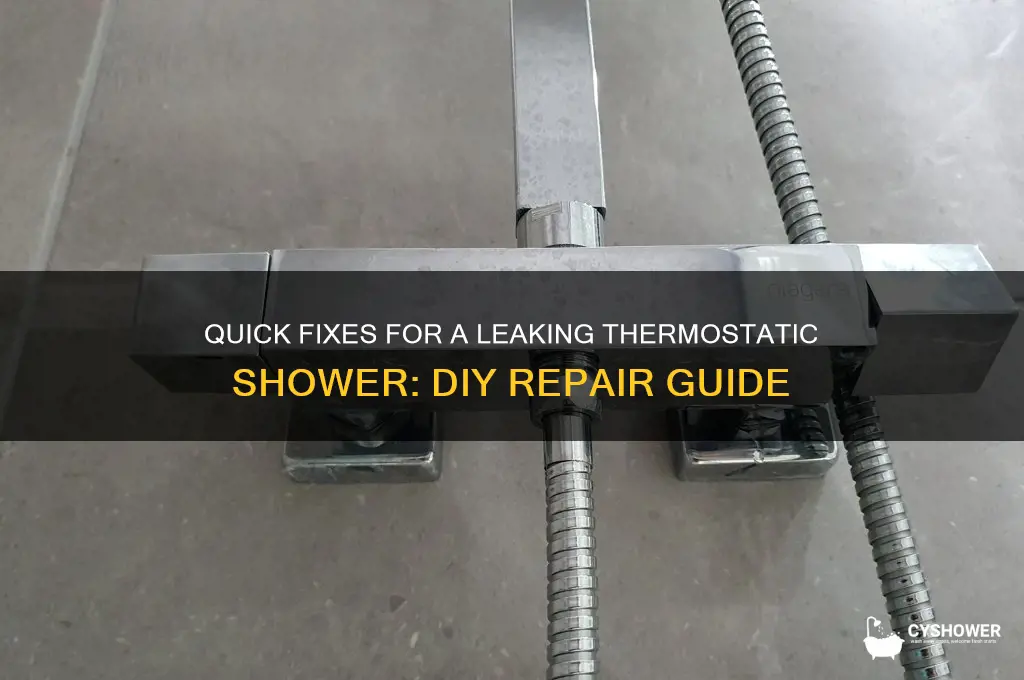 how to fix a leaking thermostatic shower