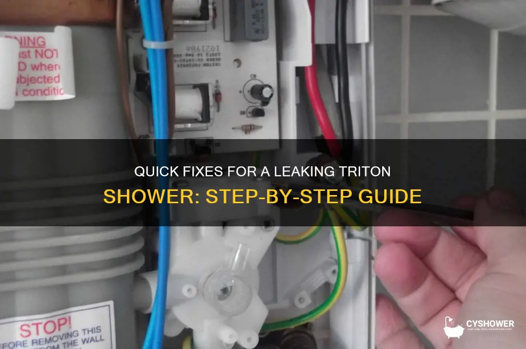 how to fix a leaking triton shower