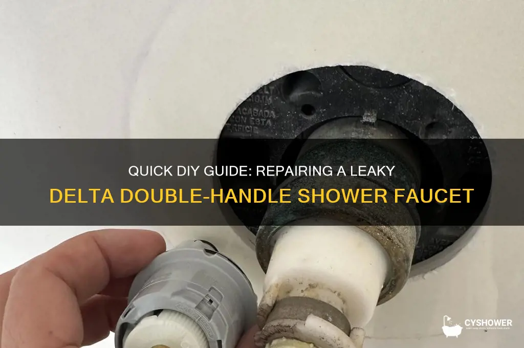 how to fix a leaky delta shower faucet double handle
