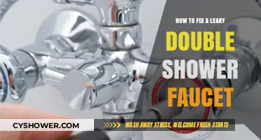 Easy DIY Guide to Repairing a Leaky Double Shower Faucet