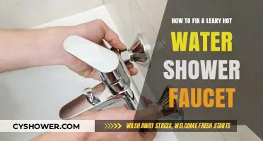Quick DIY Guide to Repairing a Leaky Hot Water Shower Faucet