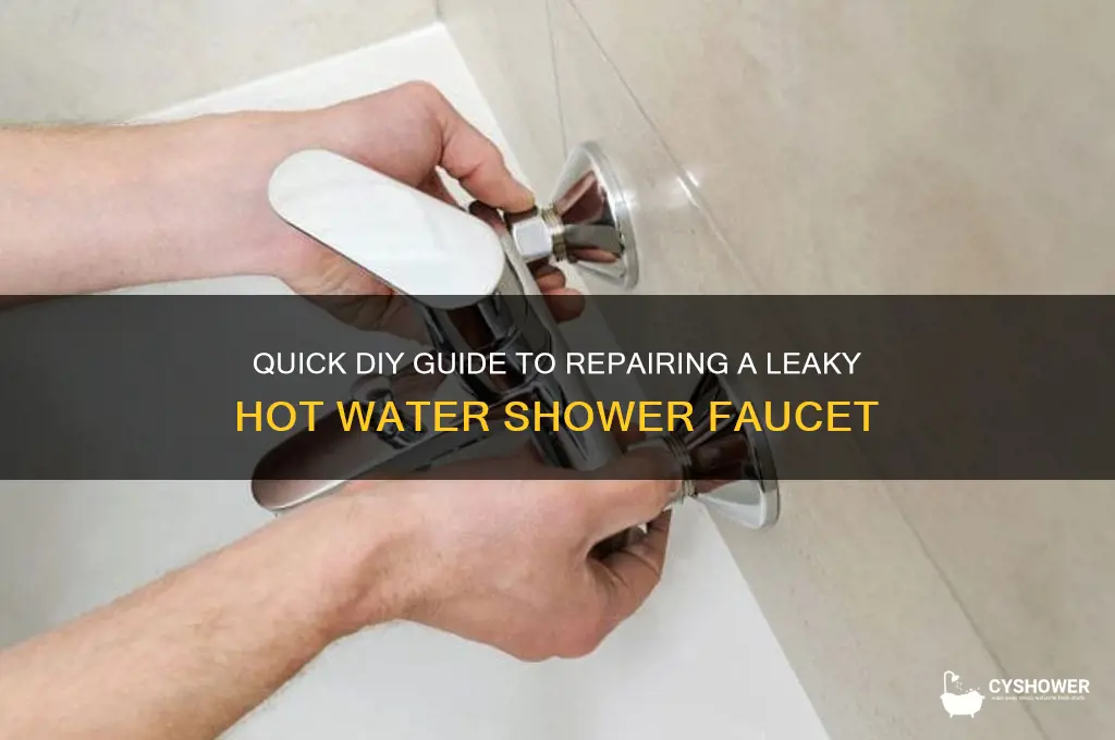 how to fix a leaky hot water shower faucet
