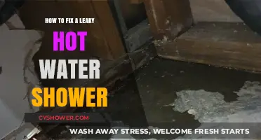 Quick Fixes for a Leaky Hot Water Shower: DIY Guide