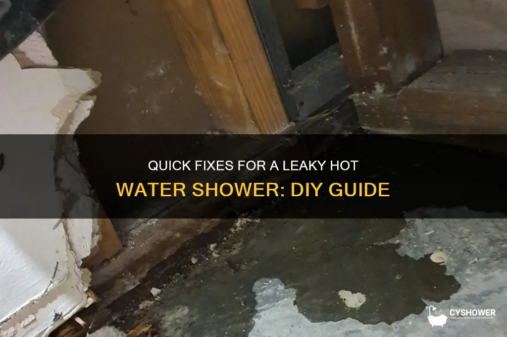 how to fix a leaky hot water shower
