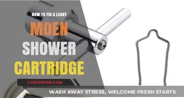 Fixing a Leaky Moen Shower Cartridge: Step-by-Step Repair Guide