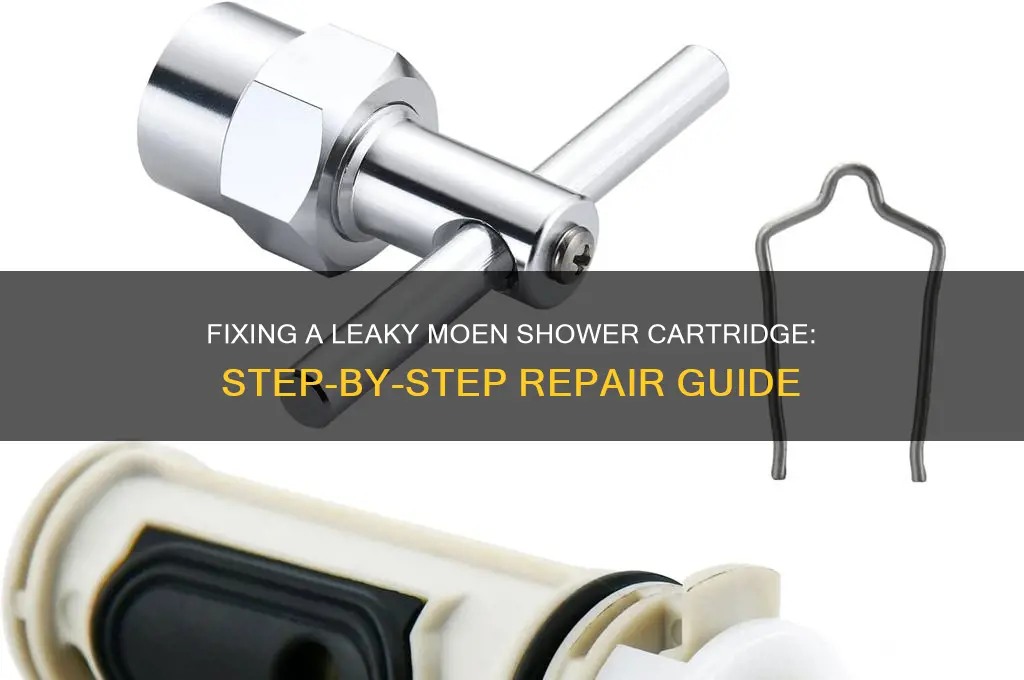 how to fix a leaky moen shower cartridge