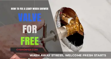 Free DIY Guide: Repairing a Leaky Moen Shower Valve Easily