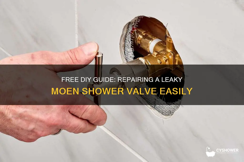 how to fix a leaky moen shower valve for free