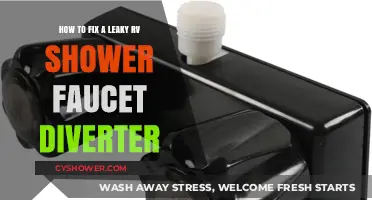 Fix Your RV Shower Faucet Diverter Leak: Step-by-Step Guide