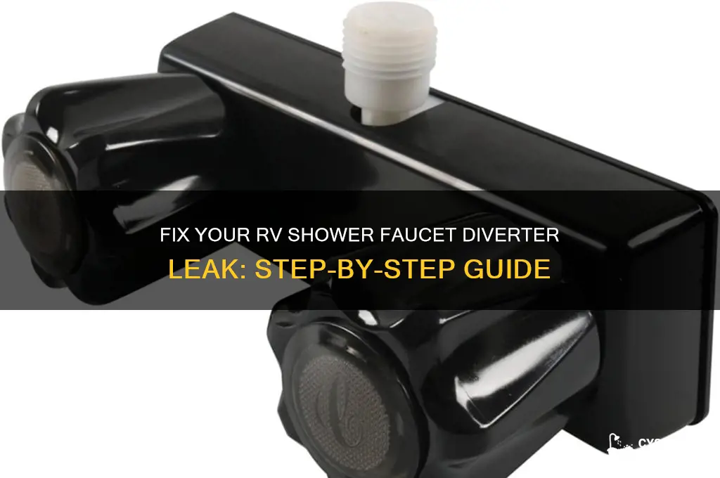 how to fix a leaky rv shower faucet diverter