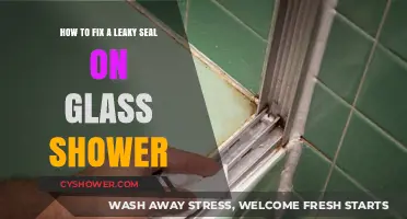 Quick DIY Guide to Fixing a Leaky Glass Shower Seal