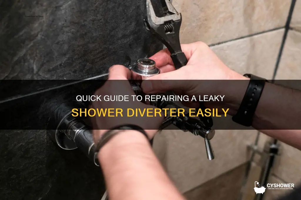how to fix a leaky shower diverter