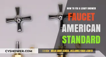 Quick Fix: Repairing Your Leaky American Standard Shower Faucet Easily