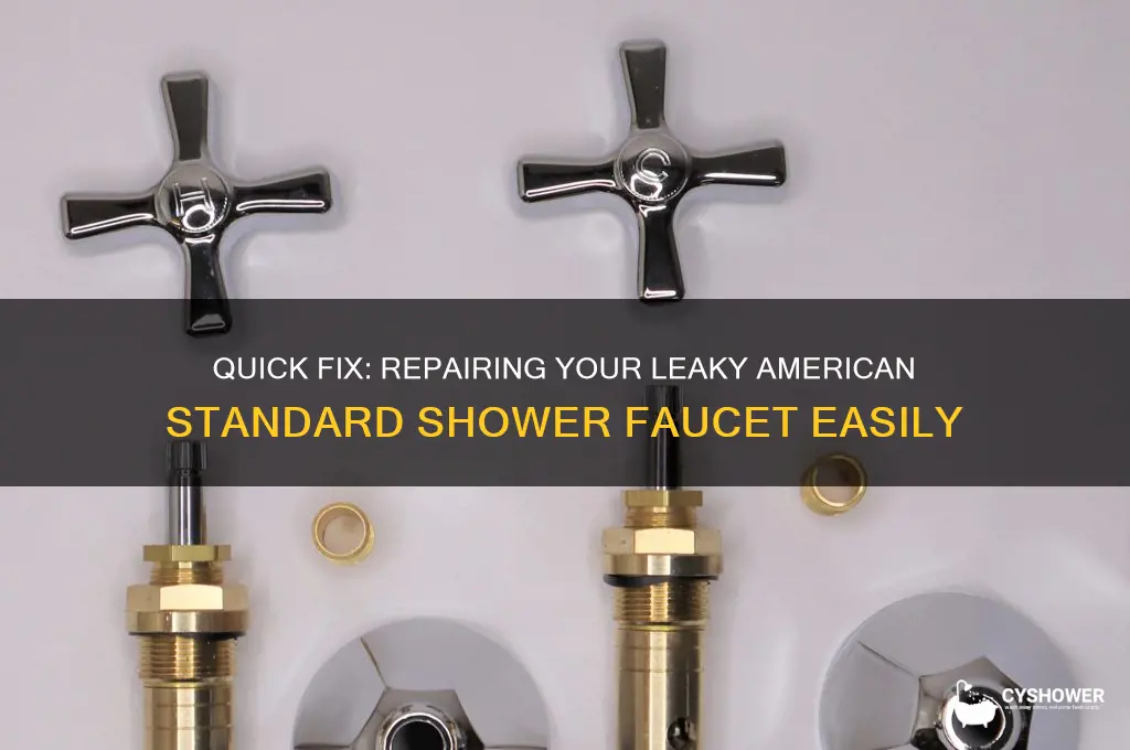 how to fix a leaky shower faucet american standard