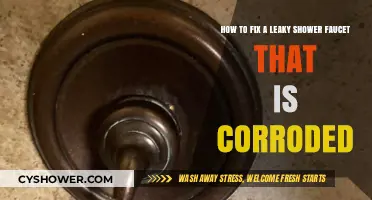 Repairing a Corroded, Leaky Shower Faucet: Step-by-Step DIY Guide