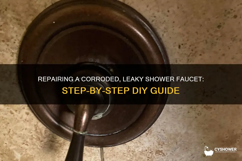 how to fix a leaky shower faucet that is corroded