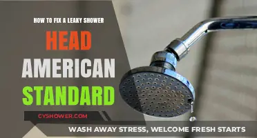 Quick Fix for Leaky American Standard Shower Heads: DIY Guide