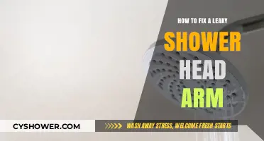 Quick DIY Guide: Repairing a Leaky Shower Head Arm Easily