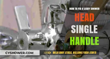 Quick Fix: Repairing a Leaky Single-Handle Shower Head Easily
