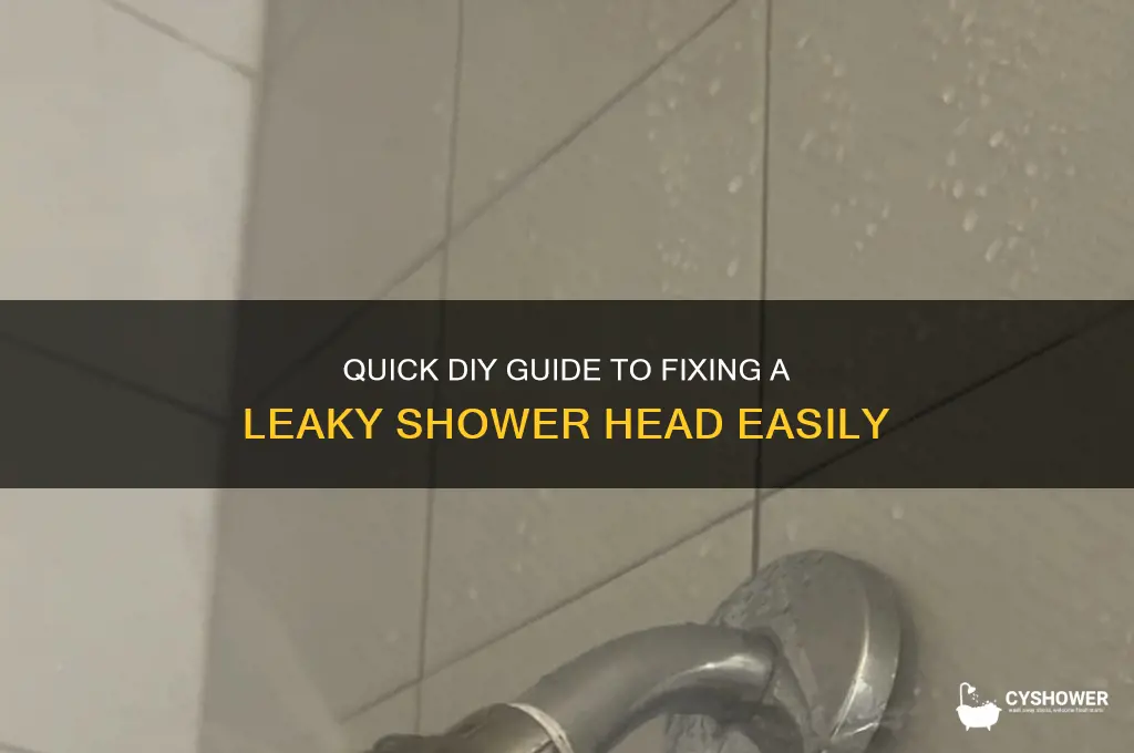 how to fix a leaky shower hyead