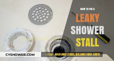 Quick DIY Guide to Repairing a Leaky Shower Stall Easily