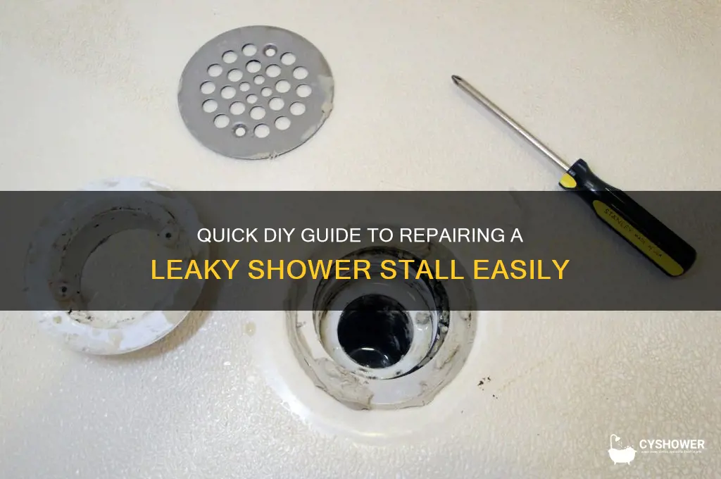 how to fix a leaky shower stall