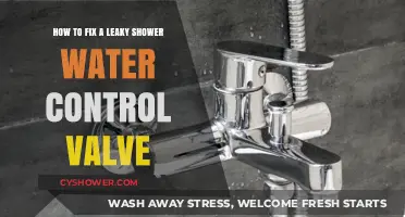 Fixing a Leaky Shower Valve: Step-by-Step Repair Guide