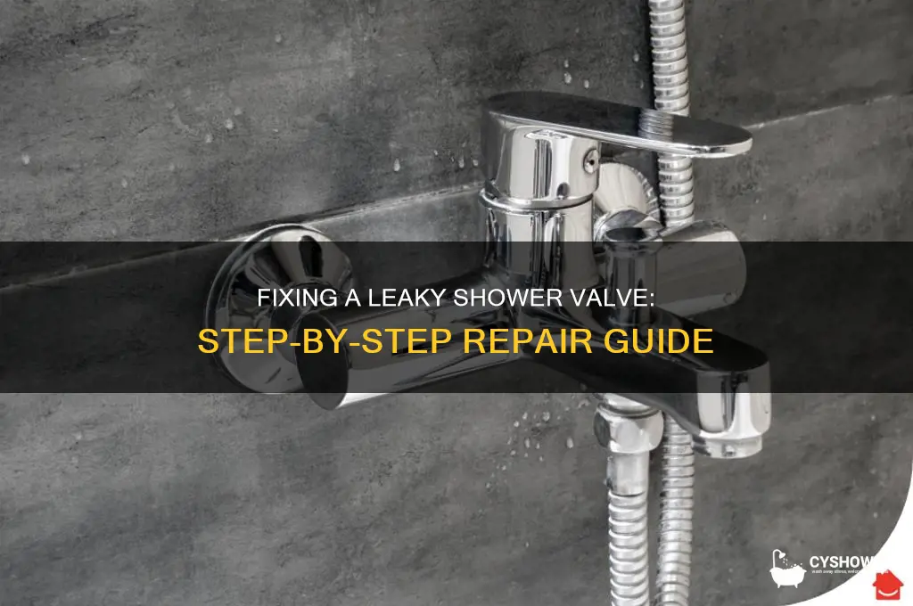 how to fix a leaky shower water control valve