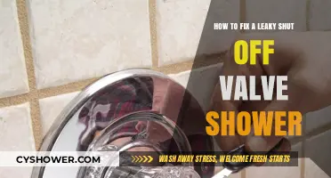 Quick DIY Guide: Repairing a Leaky Shower Shut Off Valve