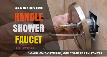Quick DIY Guide to Repairing a Leaky Single Handle Shower Faucet