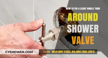 Quick Fix: Repairing a Leaky Single Turn Shower Valve Easily