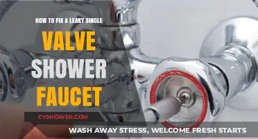 Quick DIY Guide: Repairing a Leaky Single Valve Shower Faucet