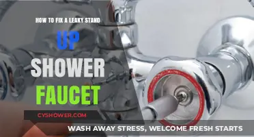 Quick DIY Guide to Repairing a Leaky Stand-Up Shower Faucet