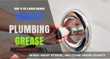 Fixing a Moen Shower Faucet: A Step-by-Step Plumbing Grease Guide