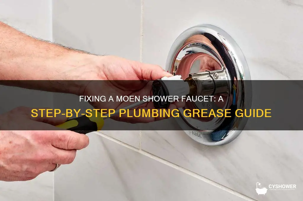 how to fix a moen shower faucet plumbing grease
