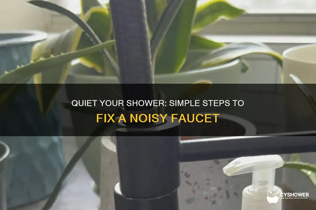 how to fix a noisy shower faucet