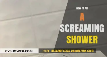 Stop the Noise: Quick Fixes for a Screaming Shower Problem
