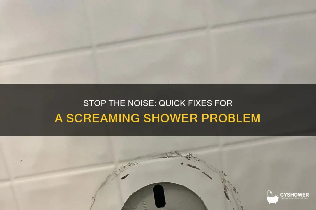 how to fix a screaming shower